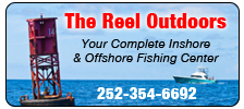 Reel Outdoors (Bait & Tackle)