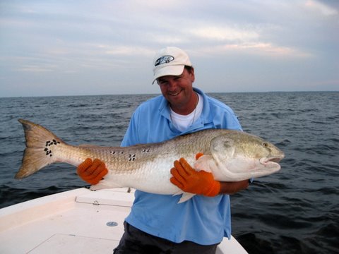 Red Drum Rig  NC Angler Forums