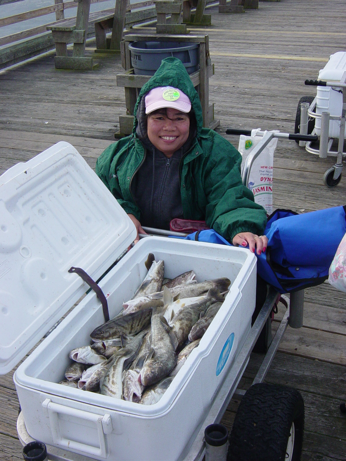 The “Other” Mullet  NC Onshore and Inshore Fishing 